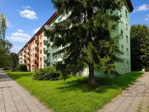 Pronájem bytu 3+1, Přerov, Petřivalského, 60 m2