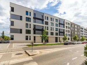 Pronájem bytu 1+kk, Praha - Žižkov, Malešická, 39 m2