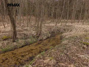 Prodej pozemku pro bydlení, Červená Voda, 1100 m2