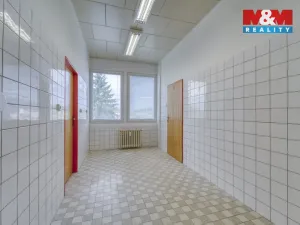 Pronájem kanceláře, Nepomuk, Na Vinici III., 60 m2