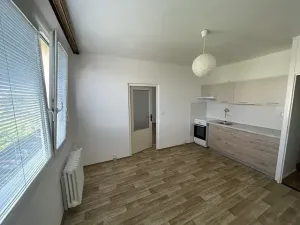 Pronájem bytu 1+1, Ústí nad Labem, Jizerská, 36 m2