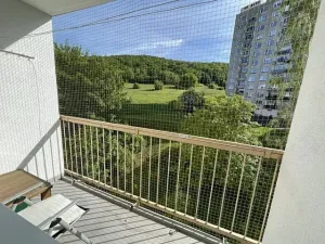 Pronájem bytu 1+1, Ústí nad Labem, Jizerská, 36 m2