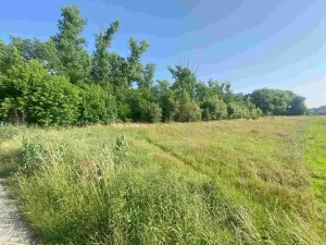 Dražba pozemku pro bydlení, Moravský Písek, 2722 m2