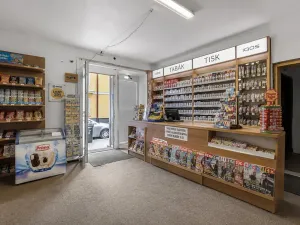 Prodej bytu 4+kk, Hradec Králové, Habrmanova, 104 m2