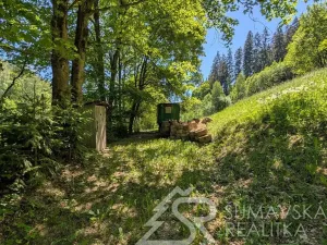 Prodej pozemku, Rejštejn - Klášterský Mlýn, 2979 m2