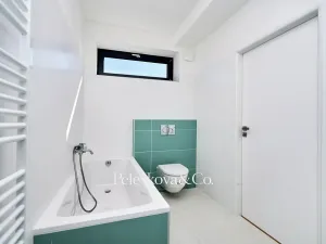 Pronájem rodinného domu, Praha - Braník, V malých domech I, 300 m2
