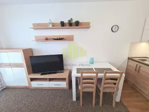 Pronájem bytu 1+kk, Olomouc, Tovární, 31 m2