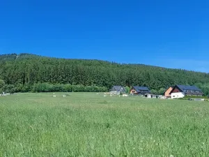 Prodej pozemku pro bydlení, Červená Voda, 1251 m2