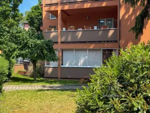 Pronájem bytu 2+1, Kyjov, Sv. Čecha, 60 m2