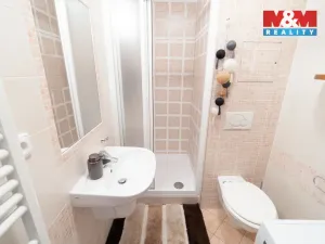 Prodej bytu 2+kk, Praha - Smíchov, Holečkova, 35 m2