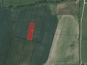 Prodej pole, Přeštice, 3451 m2