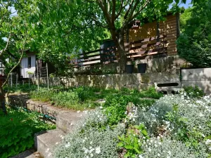 Prodej rodinného domu, Dolní Zálezly, Meruňková, 80 m2