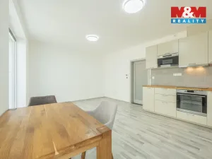 Prodej bytu 2+kk, Kladno, Průchodní, 48 m2