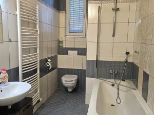 Pronájem bytu 3+kk, Český Těšín, Husova, 55 m2