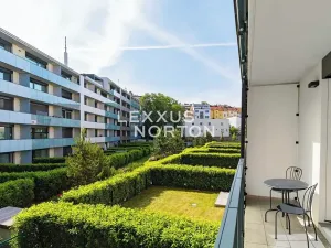 Prodej bytu 1+kk, Praha - Žižkov, U Viktorie, 40 m2