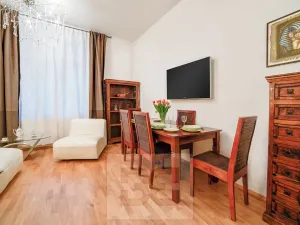 Pronájem bytu 1+1, Brno, Biskupská, 42 m2