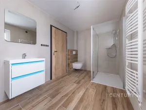 Prodej rodinného domu, Homole, 174 m2