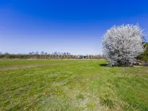Prodej komerčního pozemku, Pardubice, 11061 m2