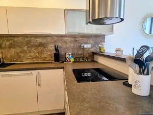 Pronájem bytu 3+kk, Příbor, Místecká, 145 m2