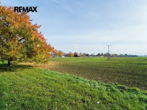 Prodej pozemku pro bydlení, Všechlapy, 9214 m2