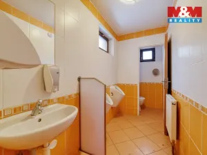 Prodej rodinného domu, Stráž nad Ohří - Boč, 500 m2