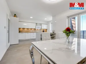 Prodej bytu 4+kk, Králův Dvůr - Levín, Na Lucberku, 141 m2
