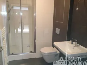 Pronájem bytu 1+kk, Praha - Michle, Hanusova, 30 m2