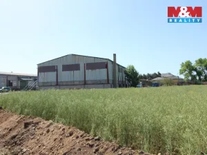 Pronájem skladu, Polepy, 441 m2