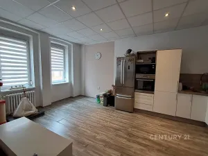Pronájem bytu 3+kk, Litvínov, Tržní, 78 m2
