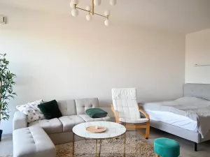 Pronájem bytu 1+kk, Brno, 40 m2