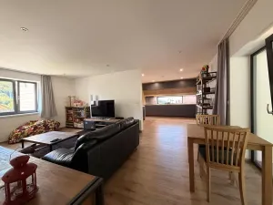 Prodej rodinného domu, Ústí nad Labem, Říční, 250 m2