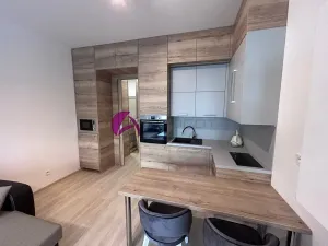 Pronájem bytu 1+kk, Olomouc, Wolkerova, 30 m2
