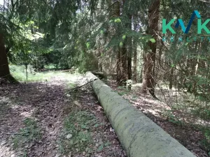 Prodej chaty, Jáchymov, Zálesí, 86 m2