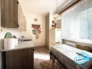 Prodej bytu 1+1, Havířov, Elišky Krásnohorské, 36 m2