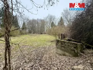 Prodej rybníku, Rychnov nad Kněžnou - Lipovka, 5963 m2