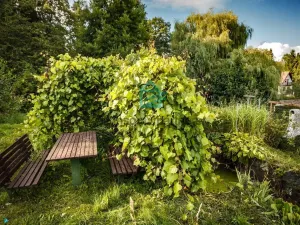 Prodej chaty, Netolice, Mírové Náměstí, 90 m2