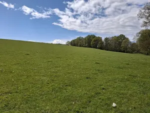 Prodej louky, Cheb, 16692 m2