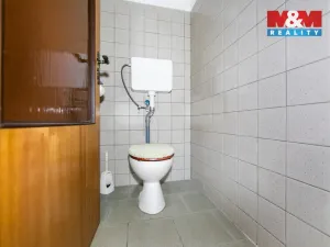 Prodej ubytování, Pšov - Močidlec, 371 m2