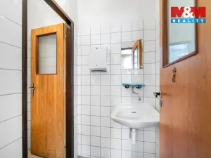 Prodej ubytování, Pšov - Močidlec, 371 m2