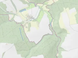 Prodej lesa, Ločenice, 7181 m2