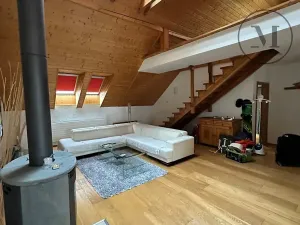 Pronájem bytu 3+kk, České Budějovice, Branišovská, 140 m2