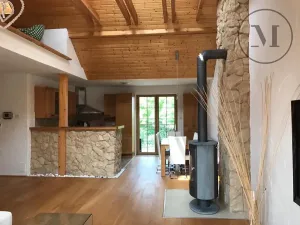 Pronájem bytu 3+kk, České Budějovice, Branišovská, 140 m2