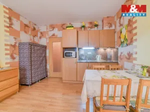 Prodej bytu 1+kk, Mariánské Lázně, Masarykova, 28 m2