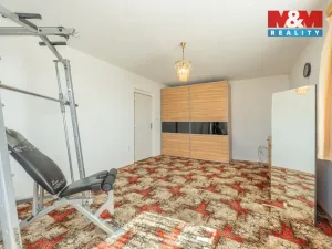 Prodej rodinného domu, Neratovice, V Hajnovkách, 193 m2