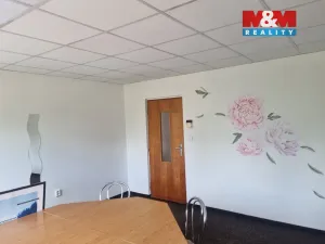 Pronájem obchodního prostoru, Jihlava, Kosovská, 336 m2