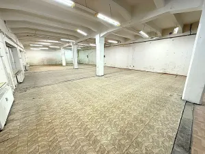 Pronájem skladu, Přerov, Čechova, 300 m2