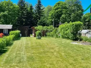Prodej zahrady, Tachov, 470 m2