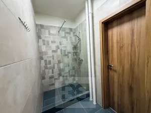 Pronájem bytu 2+kk, Plzeň, Pod Švabinami, 60 m2