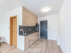 Pronájem bytu 1+kk, Hradec Králové, Pražská třída, 25 m2