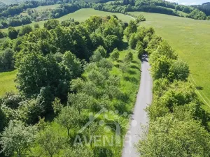 Prodej sadu/vinice, Nedašov, 1282 m2